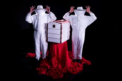 Bees! A Colony